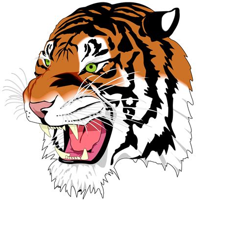 Tiger Animation Clipart Best