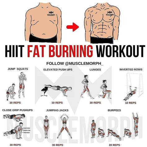 Best Exercises To Lose Belly Fat How To Burn Belly Fat Fast Best Fat Burning Workout