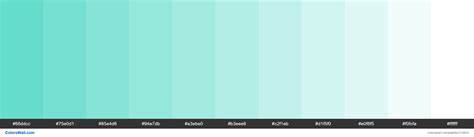 Aqua Aesthetic Colors Palette Colorswall