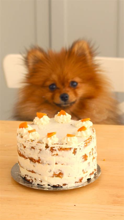 12 fun and easy cake recipes for your dog. Carrot Cake for Dogs | Recipe | Dog recipes, Dog cake recipes, Dog treat recipes