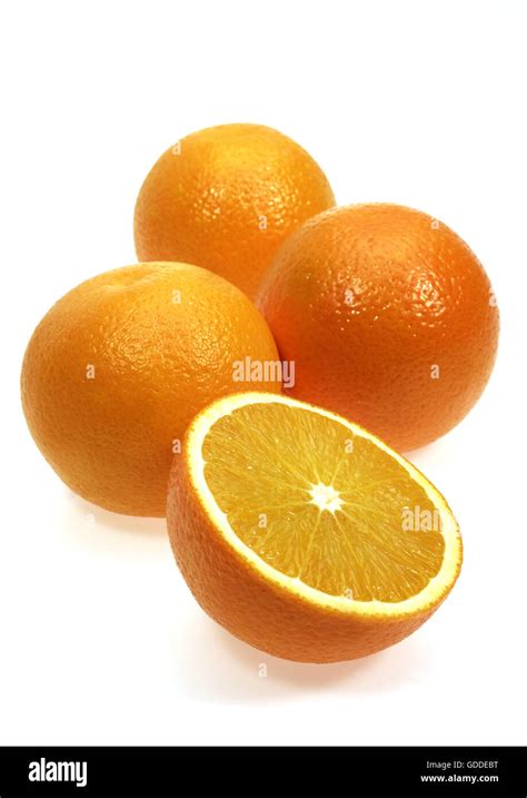 Orange Citrus Sinensis Fruits Against White Background Stock Photo