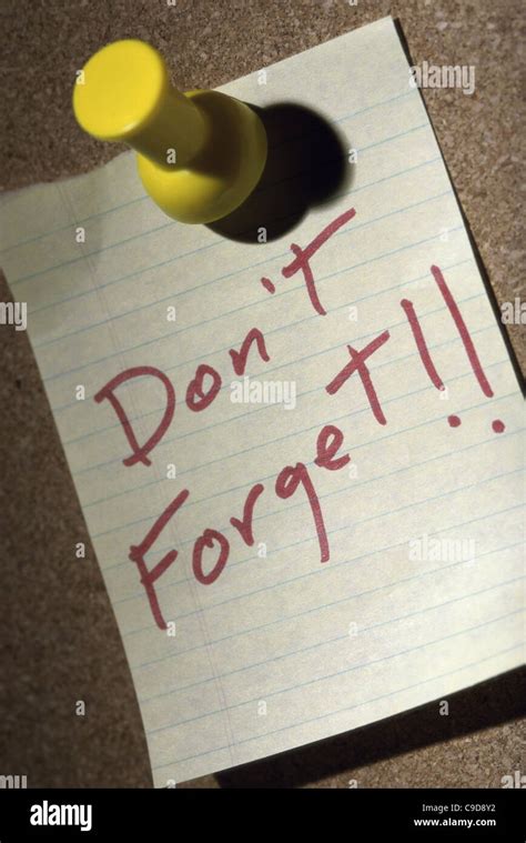 Dont Forget Note On A Bulletin Board Stock Photo Alamy