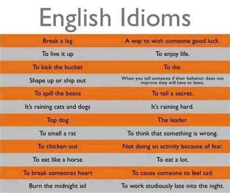50 Most Useful Idioms And Their Meaning Eslbuzz Learning English