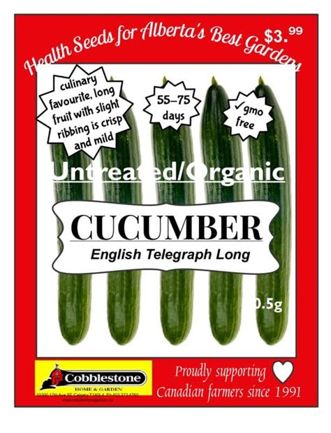 Cucumber English Telegraph Long Cobblestone Garden Centre