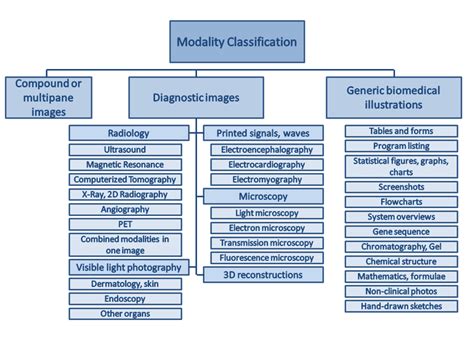 16 Hierarchy Of Modalities Or Image Types Considered In The Modality