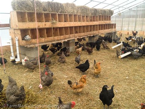 2015 Pasture Raised Eggs Budget — Farm Marketing Solutions