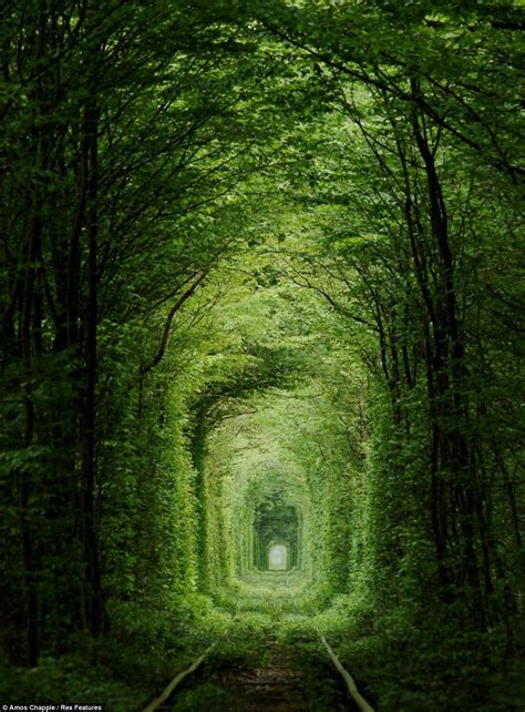 Ucraino paesaggio, paesaggio urbano, paesaggio rurale, paesaggio primaverile, paesaggio montano, paesaggio marino, paesaggio in ucraino, держава in italiano. Il tunnel dell'amore | Paesaggi, Arte della natura, Luoghi ...