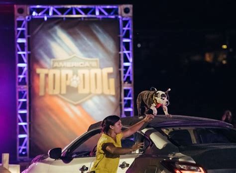 Americas Top Dog Tv Show Air Dates And Track Episodes Next Episode
