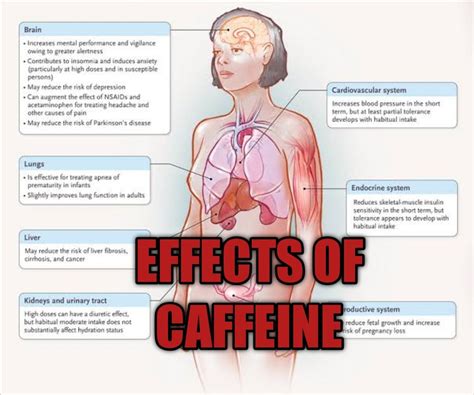 Effects Of Caffeine On Brand Urge Incontinence Nsaids Caffeine