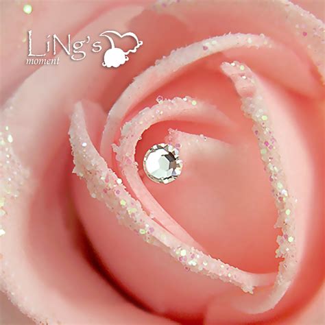 Jul 08, 2021 · a bouquet of crystal flowers. 24 Swarovski Rhinestone Wedding Bouquet Flower Stem | eBay