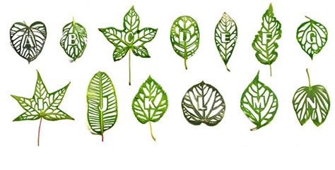 Leaf Type Feel Desain Your Daily Dose Of Creativity