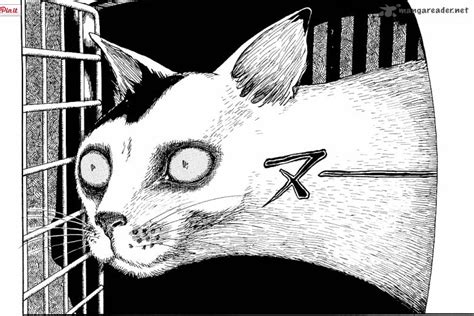 Junji Ito Cats Real Life Cat Meme Stock Pictures And Photos