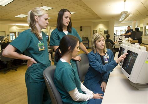 Colleges and universities offer various nursing degree options at the undergrad and graduate levels. News Release