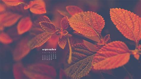 September 2021 Wallpapers 35 Free Calendars For Desktop And Phones