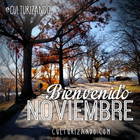 Imágenes Con Frases Y Mensajes Bonitos De Bienvenido Noviembre Y Felíz