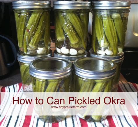 How To Can Orka Pickled Okra Canning Recipes Canning Pickled Okra
