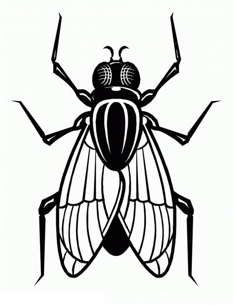 Fly Swatter Coloring Page Sketch Coloring Page