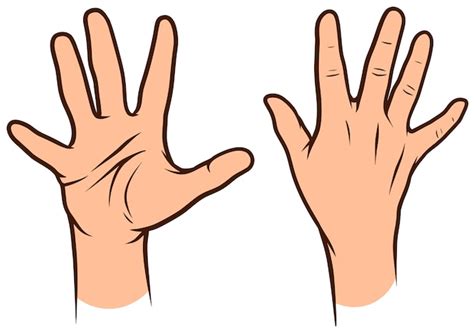 Cartoon Human Hands