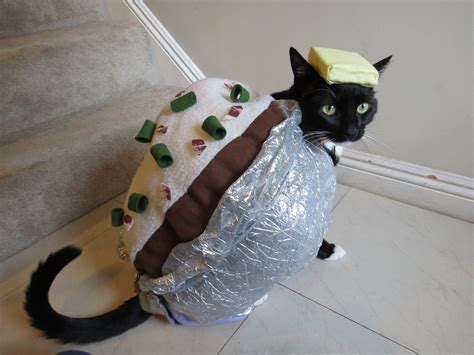 My Friend Creates Homemade Halloween Costumes For Her Cats