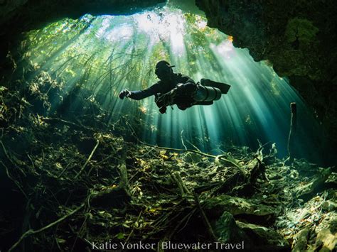 Cenotes Diving Bluewater Dive Travel