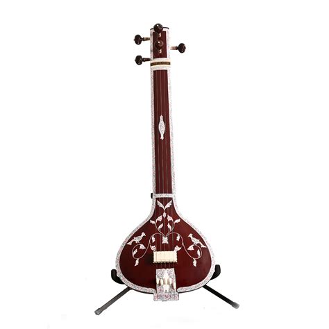 Sitar Tanpura Electric Sitar And Lessons — Will Marsh Music Electric