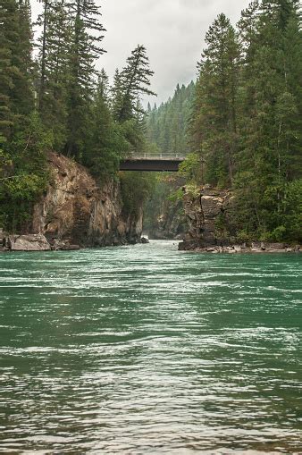 Fraser River By Mount Robson Stock Photo Download Image Now Istock