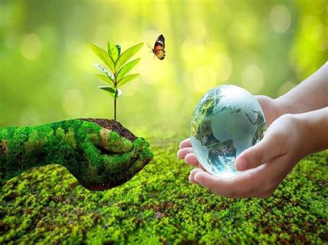 This New Year 2022 Take These 5 Eco Friendly Lifestyle Resolutions To