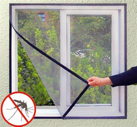 On a sunny day, a cat wants to scratch but he is separated by the screen. * Window Mesh For Cats | Cheapest Prices | Free Canadian ...