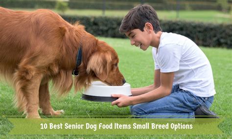 Royal canin small breed aging dry dog food. 10 Best Senior Dog Food Items Small Breed Options 2019 ...