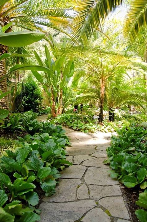 Cute Palm Gardening Ideas For Front Yard 19 Trendecors