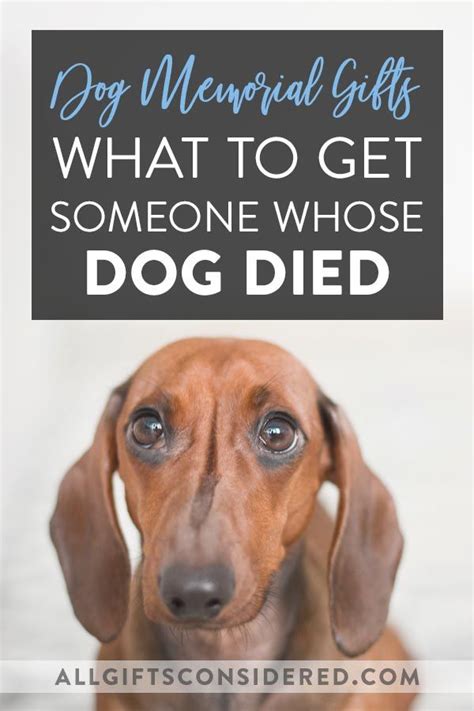Show the person you understand their feelings how can i comfort my dying dog at home? What to Get Someone Whose Dog Died (+10 Dog Memorial Gifts ...