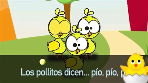 Los Pollitos Dicen Pío Pío Pío Canción Infantil Youtube