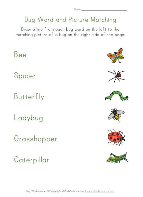 word recognition worksheets kindergarten worksheets insects  kids