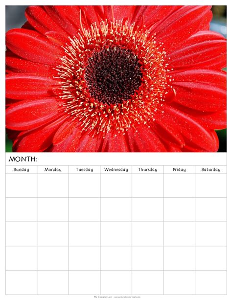 Blank Calendar Printable My Calendar Land