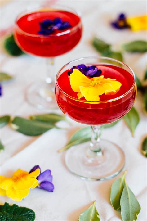 I first started growing edible hibiscus a couple of years ago because i love hibiscus tea. Hibiscus Gin Gimlet Cocktail Recipe with Hibiscus Tea ...