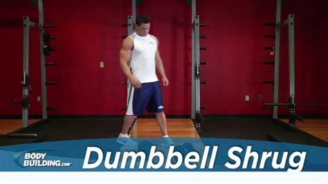 Dumbbell Shrug Shoulder Exercise Youtube