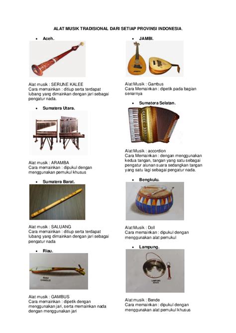 Cara memainkan alat ini yaitu dengan digesek seperti biola dan alat musik ini sesando merupakan alat musik tradisional dengan jenis bunyi chordofan yang dimainkan dengan cara dipetik. (DOC) ALAT MUSIK TRADISIONAL 34 PROVINSI INDONESIA DAN GAMBAR | Bidenk Erz - Academia.edu