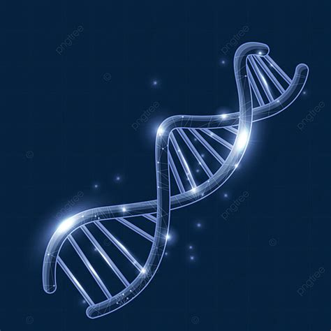 Dna Molecules Png Picture Dna Molecule Abstract Spiral Light Lines