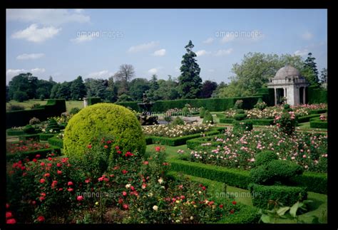 View Over The Edwardian Rose Garden 22040103364 の写真素材・イラスト素材｜アマナイメージズ