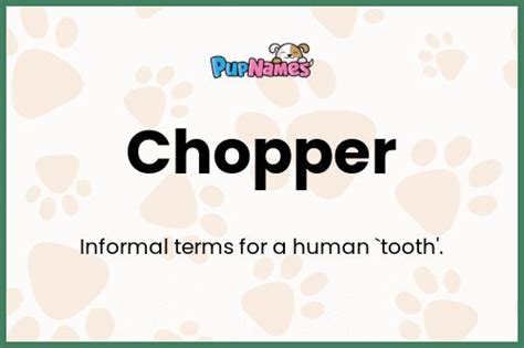 Chopper 🐶 Dog Name Meaning And Popularity