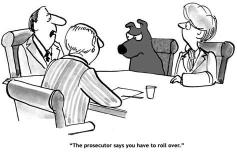 Bank transfer and 100+ options. 20 Lawyer Jokes You Should Never Tell