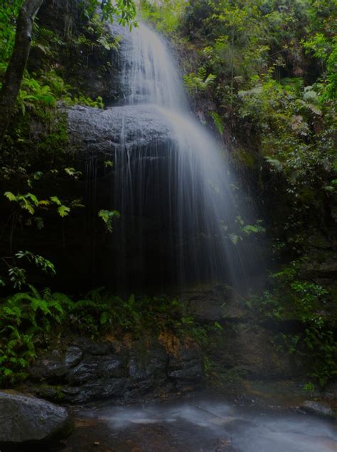 Where To Find The Best Waterfalls In The Blue Mountains Best Of The