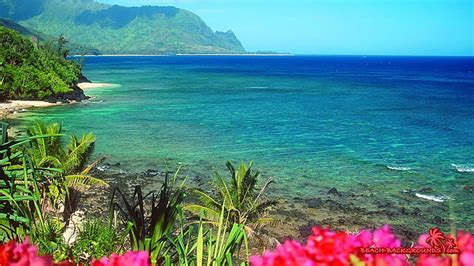 1080p Free Download Hawaiian Beach Oceans Beaches Hawaii Flowers