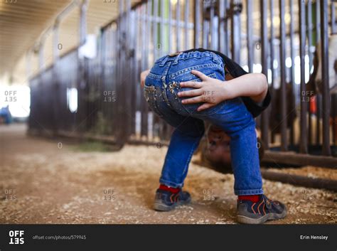 Boy With Dirty Jeans In Barn Stock Photo Offset