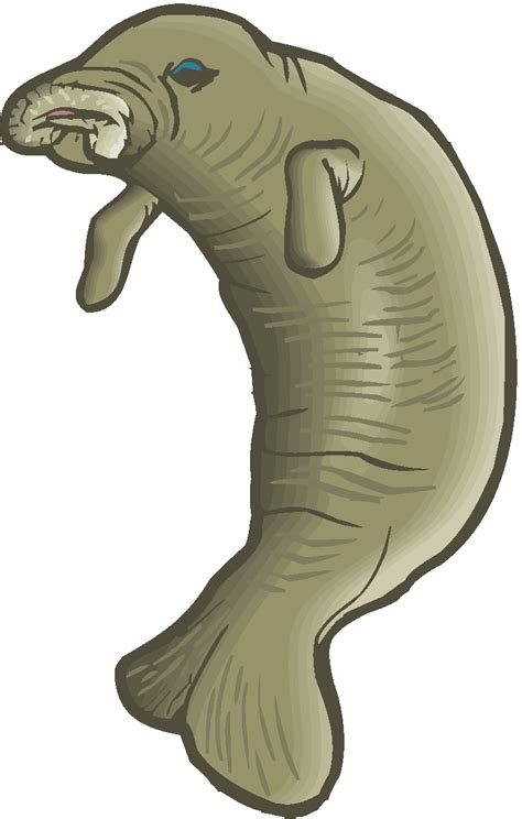 Free Manatee Clipart
