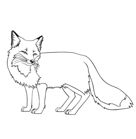 Maybe you would like to learn more about one of these? Fox Coloring Pages Free Printable | Fox coloring page ...