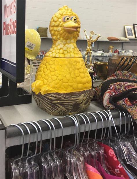 32 Weird Funny And Wtf Thrift Store Finds Wtf Gallery Ebaums World