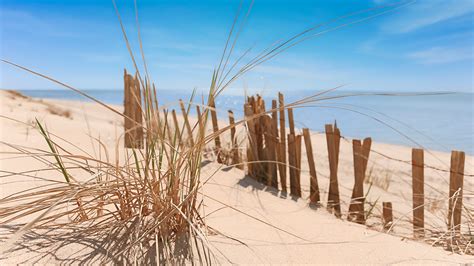 Beach Grass Landscape Photography For Coastal Home Decor Amazingly