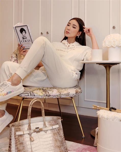 Jamie Chua Facts For Those Who Wish To Learn More About The Socialite