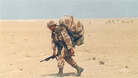 Gulf War At 25 Desert Storm A Milestone For 101st